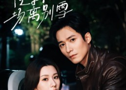 短剧《京城之等待一场离别雪（42集）》免费短剧高清在线享