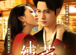 短剧《缚茧（63集）》精彩短剧一集不落观看