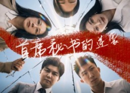 短剧《首席秘书的逆袭（30集）》热门短剧全集免费播放