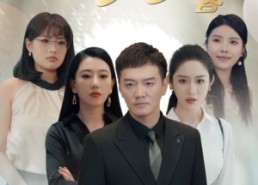 短剧《傻了吧我有一屋子美女房客（80集）》爆款短剧免费畅看全集