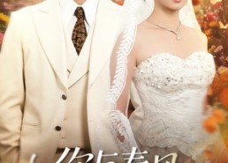 短剧《你与春风皆过客（66集）》短剧免费全集一键观