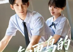 短剧《知更鸟的陷阱（58集）》精彩短剧全集免费播