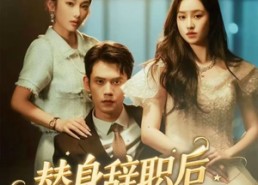 短剧《替身辞职后薄爷追疯了（60集）》短剧免费全集在线赏