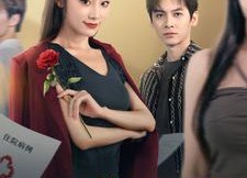 短剧《承蒙错爱（59集）》热门短剧免费高清观看