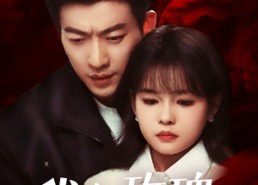 短剧《我与玫瑰，随时为公主待命（104集）》精彩短剧全集免费追