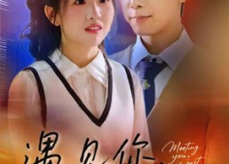 短剧《遇见你时光正好（50集）》优质短剧全集免费点播