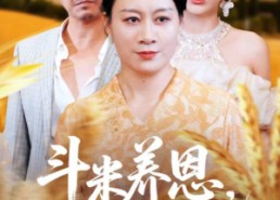 短剧《斗米养恩担米养仇（50集）》短剧高清全集免费欣赏