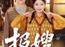 短剧《报嫂（80集）》热门短剧无广告在线追