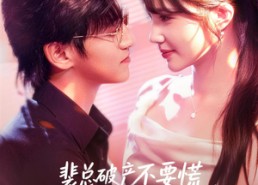 短剧《裴总破产不要慌，炮灰前妻带你飞（66集）》爆款短剧全集免费畅享