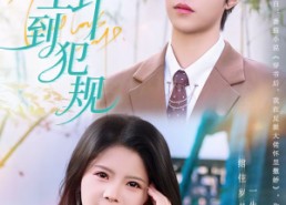 短剧《这女主野到犯规（69集）》热门短剧全集在线播放