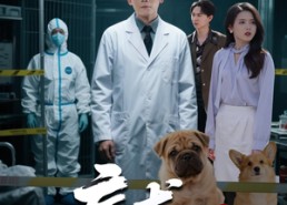 短剧《病犬危机（68集）》短剧全集高清免费观看