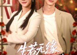 短剧《生若无缘，一别两宽（60集）》超清短剧全集免费播放