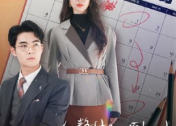 短剧《冷静期三十天倒计时（52集）》短剧全集高清在线播放