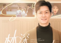 短剧《林深不知云海（84集）》免费短剧完整版在线赏