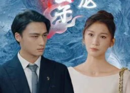 短剧《圣子狂龙（95集）》短剧全集高清免费看