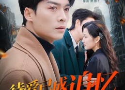 短剧《待爱已成追忆（31集）》热门短剧在线全集播