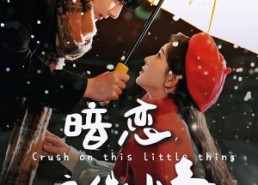 短剧《暗恋这件小事（100集）》短剧免费观看无广告