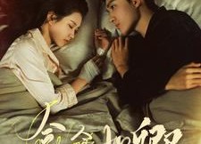 短剧《念念如卿（76集）》精彩短剧全集免费观览