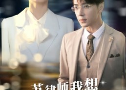 短剧《苏律师我想闪个婚（95集）》优质短剧全集免费享