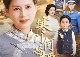 短剧《寒门何妨栖慈凤（100集）》短剧在线免费看全集