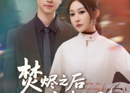 短剧《焚烬之后有春风（86集）》短剧全集免费流畅看