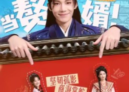 短剧《我在古代当赘婿（80集）》短剧超清全集在线品