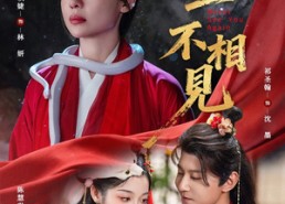 短剧《此生不相见（84集）》精彩短剧全集免费看