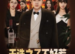 短剧《天选之子不好惹，我有系统专治不服（80集）》热门短剧在线追更