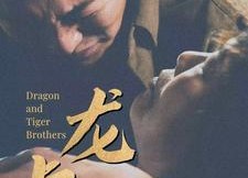 短剧《龙虎兄弟（80集）》精彩短剧全集免费看