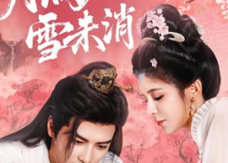 短剧《月满枝头雪未消（63集）》短剧佳作在线免费观看