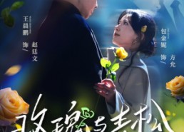 短剧《玫瑰与青松（79集）》爆款短剧在线免费赏