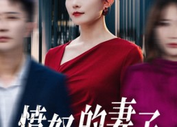 短剧《愤怒的妻子（30集）》短剧免费全集一键看