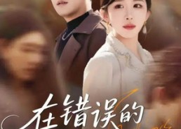 短剧《在错误的时间遇见你（61集）》短剧免费高清全集畅看