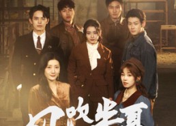 短剧《风吹半夏之野蛮生长（59集）》热门短剧免费畅享观看