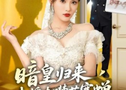 短剧《暗皇归来，未婚夫噤若寒蝉（65集）》免费短剧高清全集直看