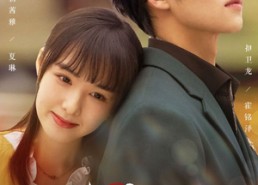 短剧《终会遇见你（66集）》热门短剧全集免费赏看