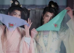 短剧《别动！自己人（20集）》短剧热门免费全集放送