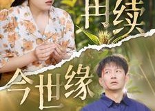 短剧《再续今世缘（83集）》短剧完整版免费观看