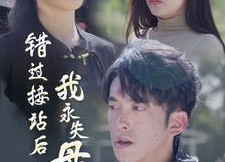 短剧《错过接站后我永失母爱（31集）》短剧全集免费畅享观看