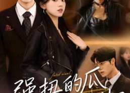 短剧《强扭的瓜它超甜（70集）》短剧全集免费高清播