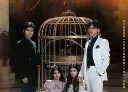 短剧《金丝雀又组团跑路了（长篇）》必看短剧高清在线观赏