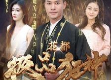 短剧《花都极品狂神（101集）》短剧全集无广告在线看