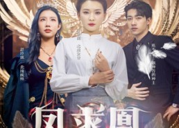 短剧《凤求凰我的老婆是女帝（97集）》短剧全集免费在线观赏