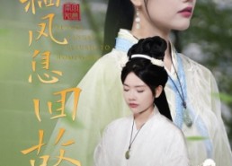 短剧《凤栖凤息回故乡（36集）》短剧免费畅享全集观