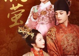 短剧《流萤（60集）》免费短剧全集在线速览