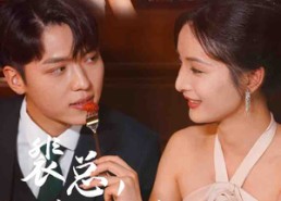 短剧《裴总，夫人说她不需要两个老公（109集）》短剧全集免费畅享观看