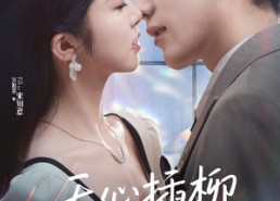 短剧《无心插柳爱成荫（50集）》短剧高清全集在线赏