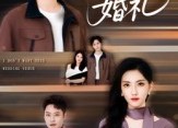 短剧《一个人的婚礼（41集）》免费短剧高清在线享