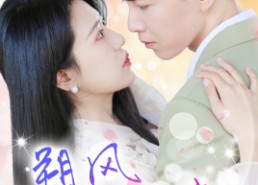 短剧《朔风有解意（70集）》短剧高清全集免费畅享