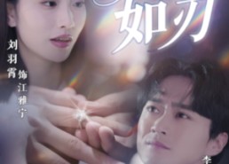 短剧《情深如刃（48集）》热门短剧全集免费看